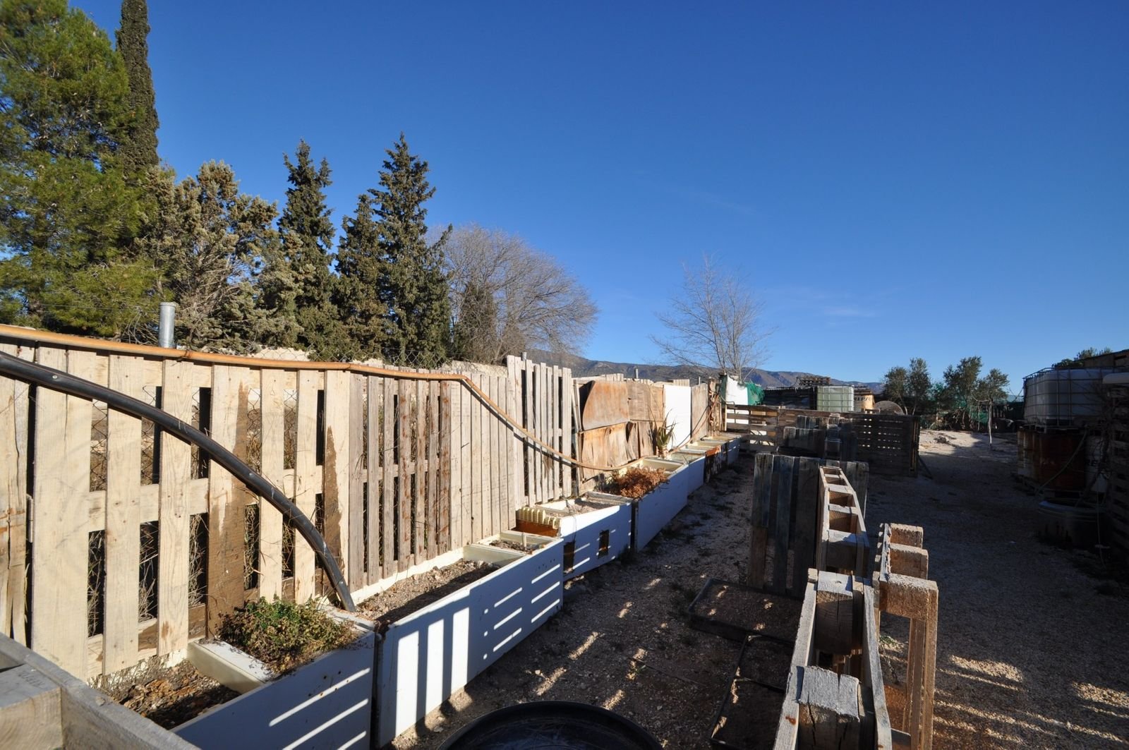 Land in Pinoso -de Pinoso — Arazi