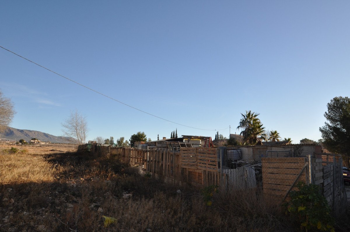02 photo