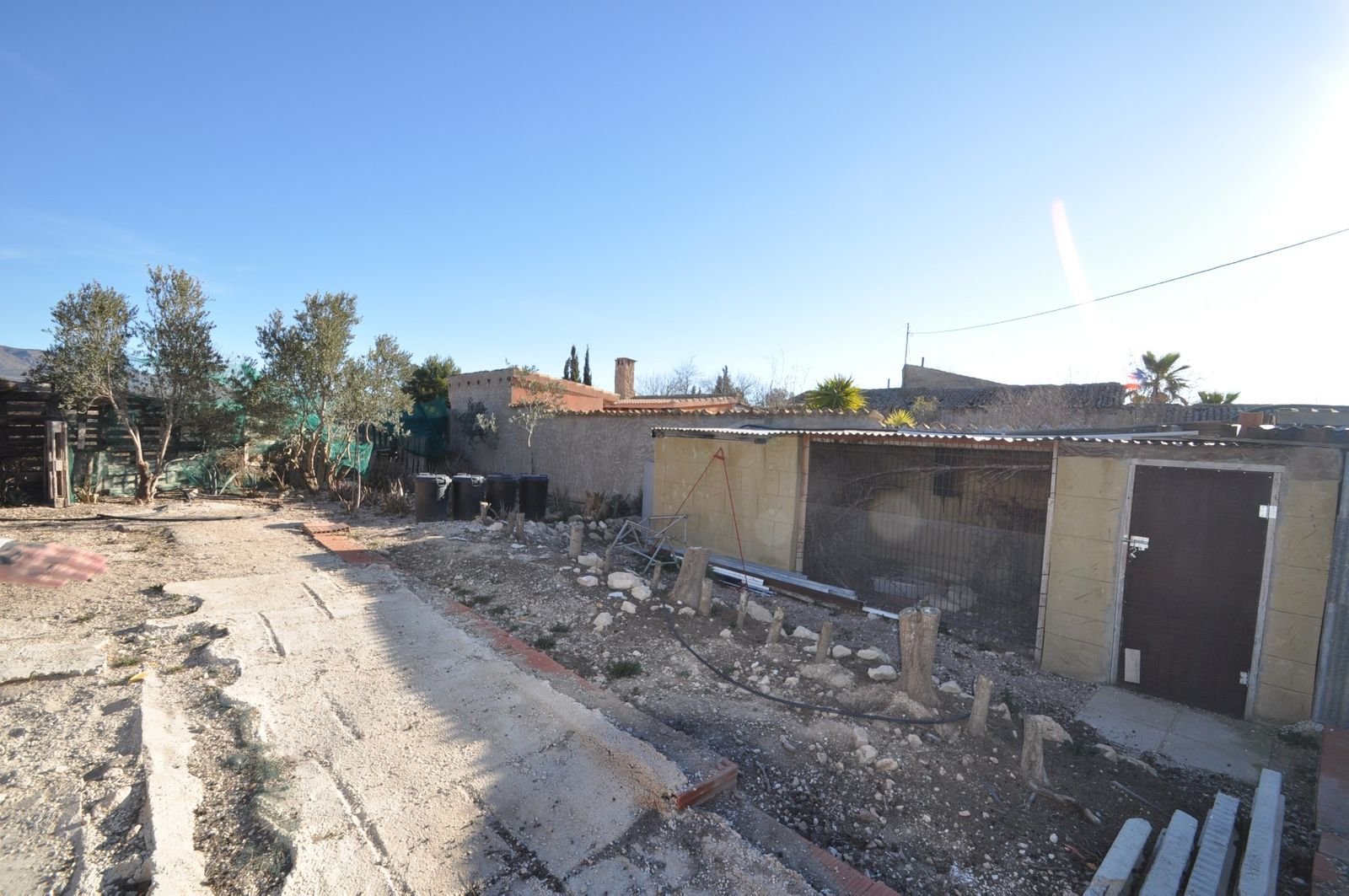 06 backyard outdoor space