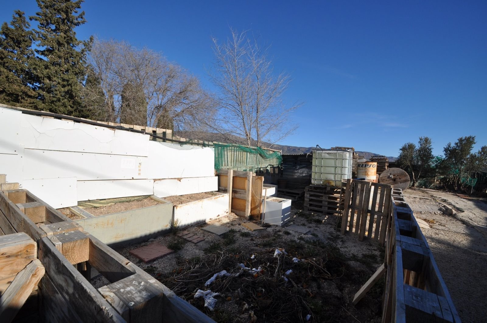 07 beehive yard with trees