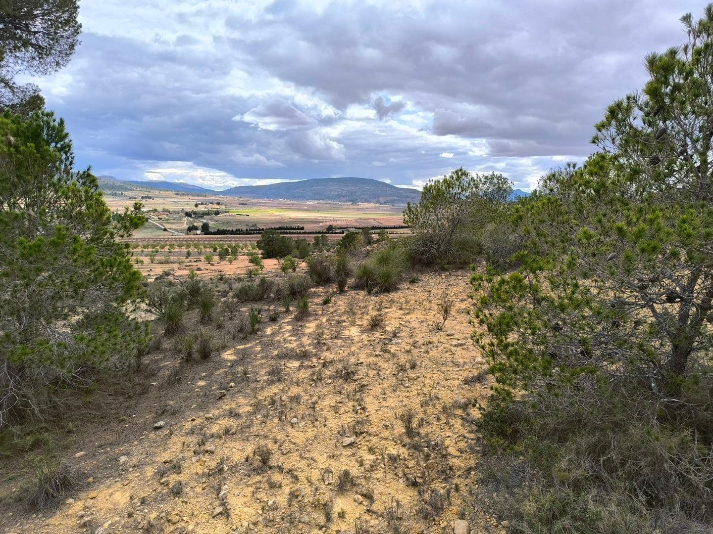 Land in Pinoso u Pinoso — Земљиште