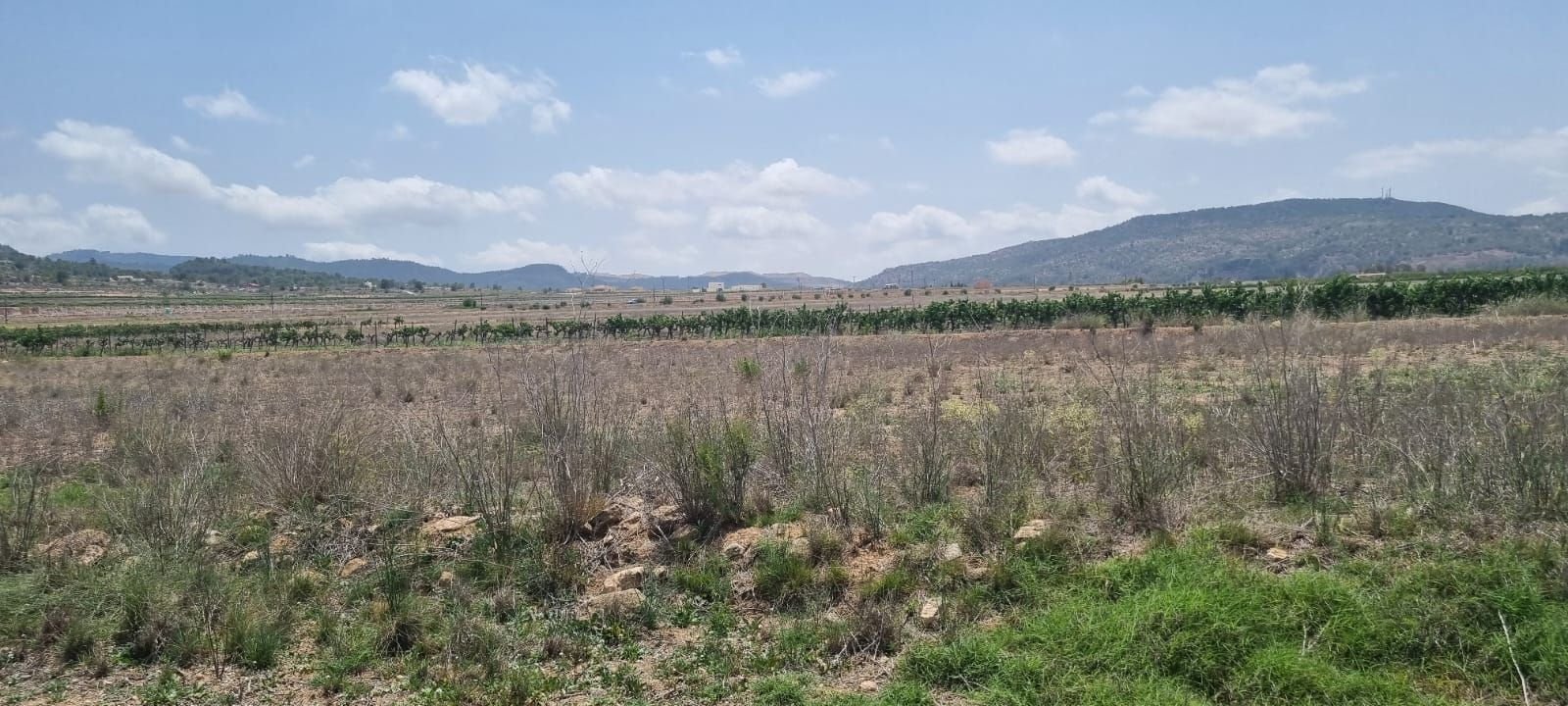 05 rural landscape view