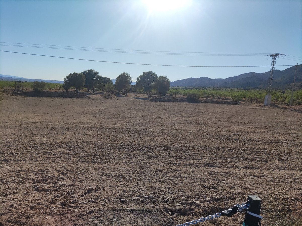 Land in Pinoso