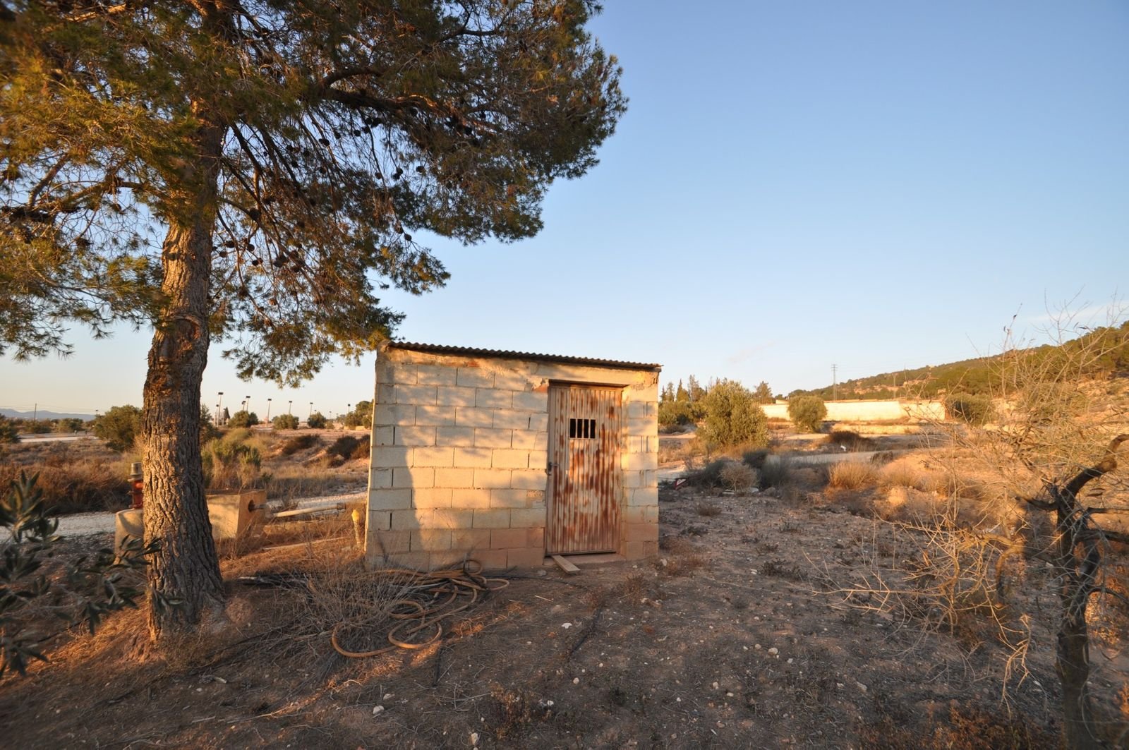 Land in Pinoso i Pinoso — Tomt