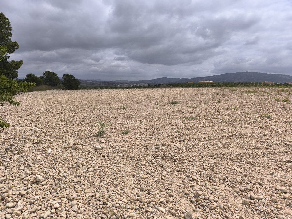 Land in Pinoso in Pinoso, Land
