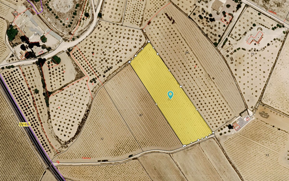 Land in Pinoso in Pinoso, Land