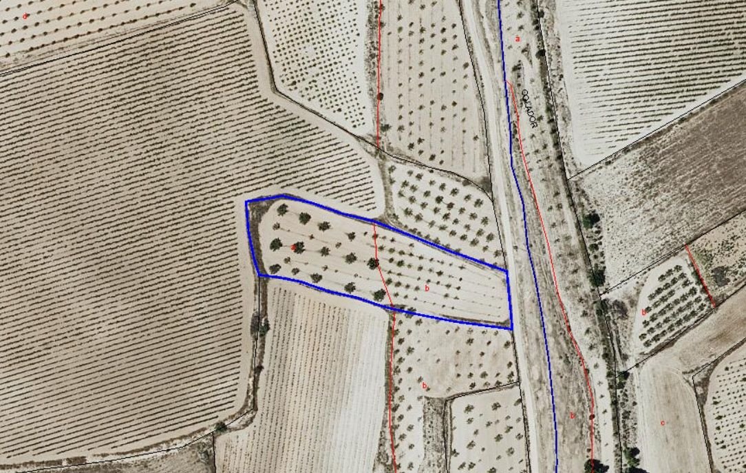 Luchtfoto van eigendom met velden, bomen en een weg.