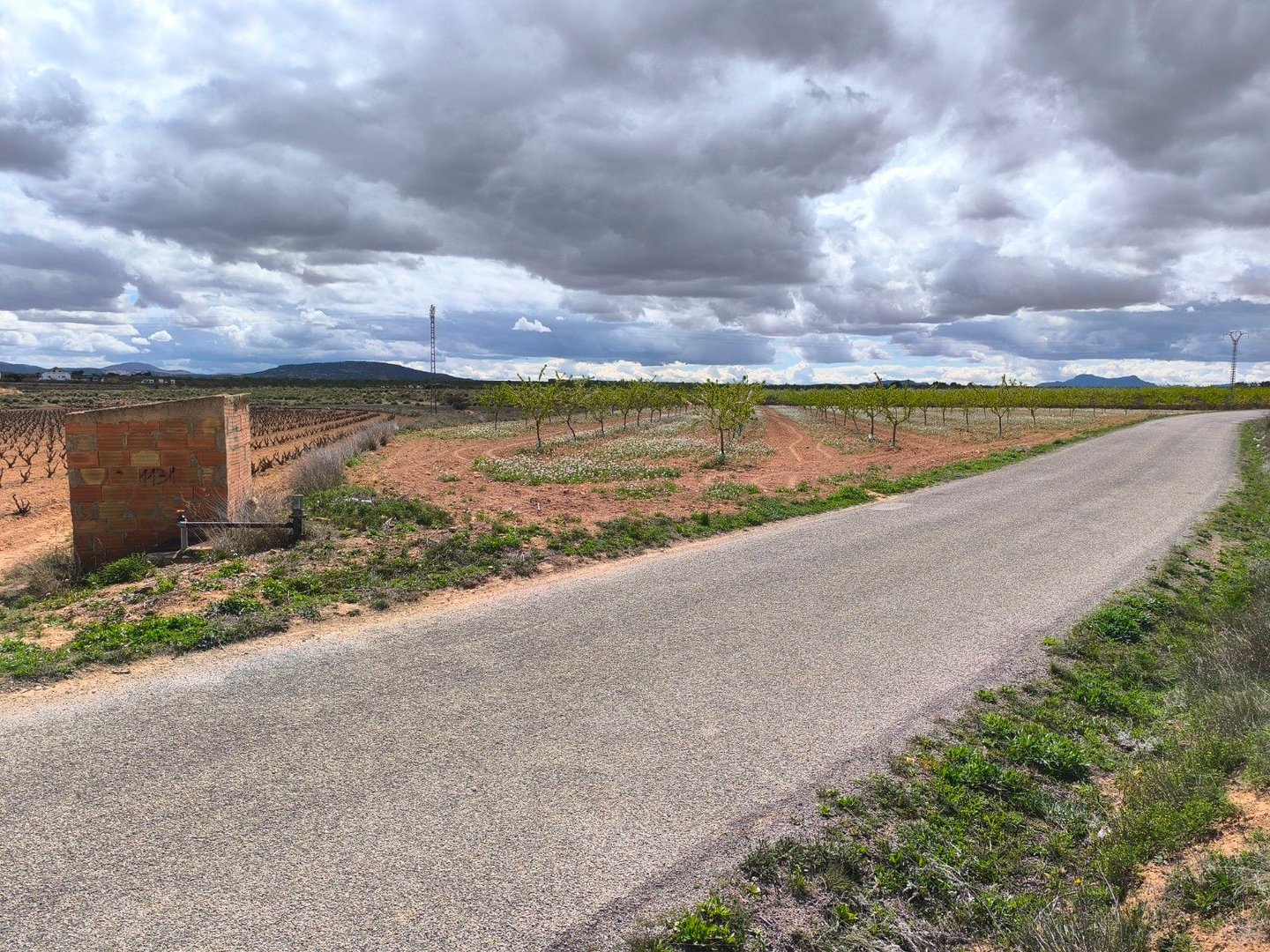 05 rural road landscape