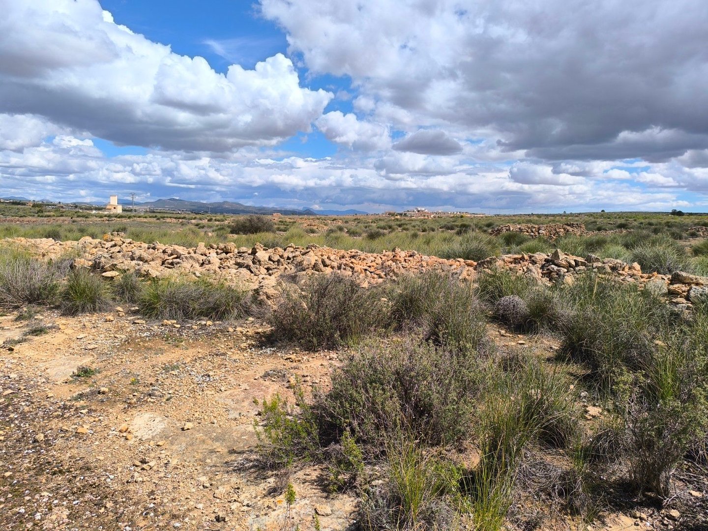 06 desert landscape view