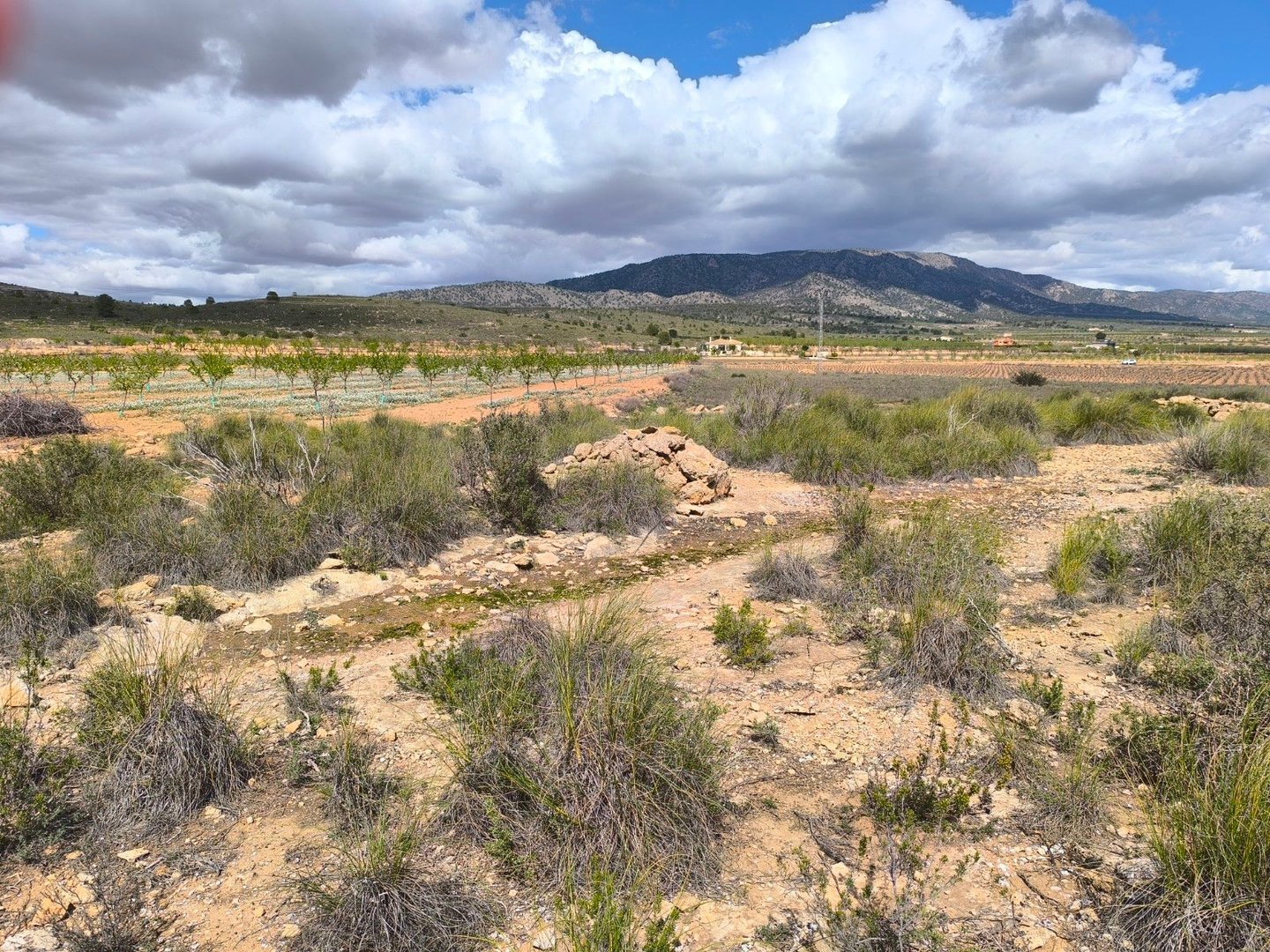 07 desert landscaped ranch