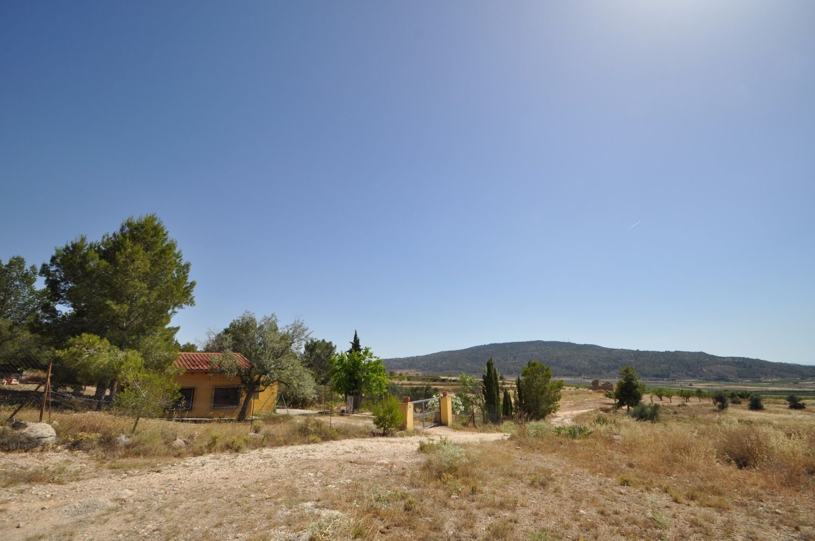 Land in Pinoso 位于 Pinoso — 土地