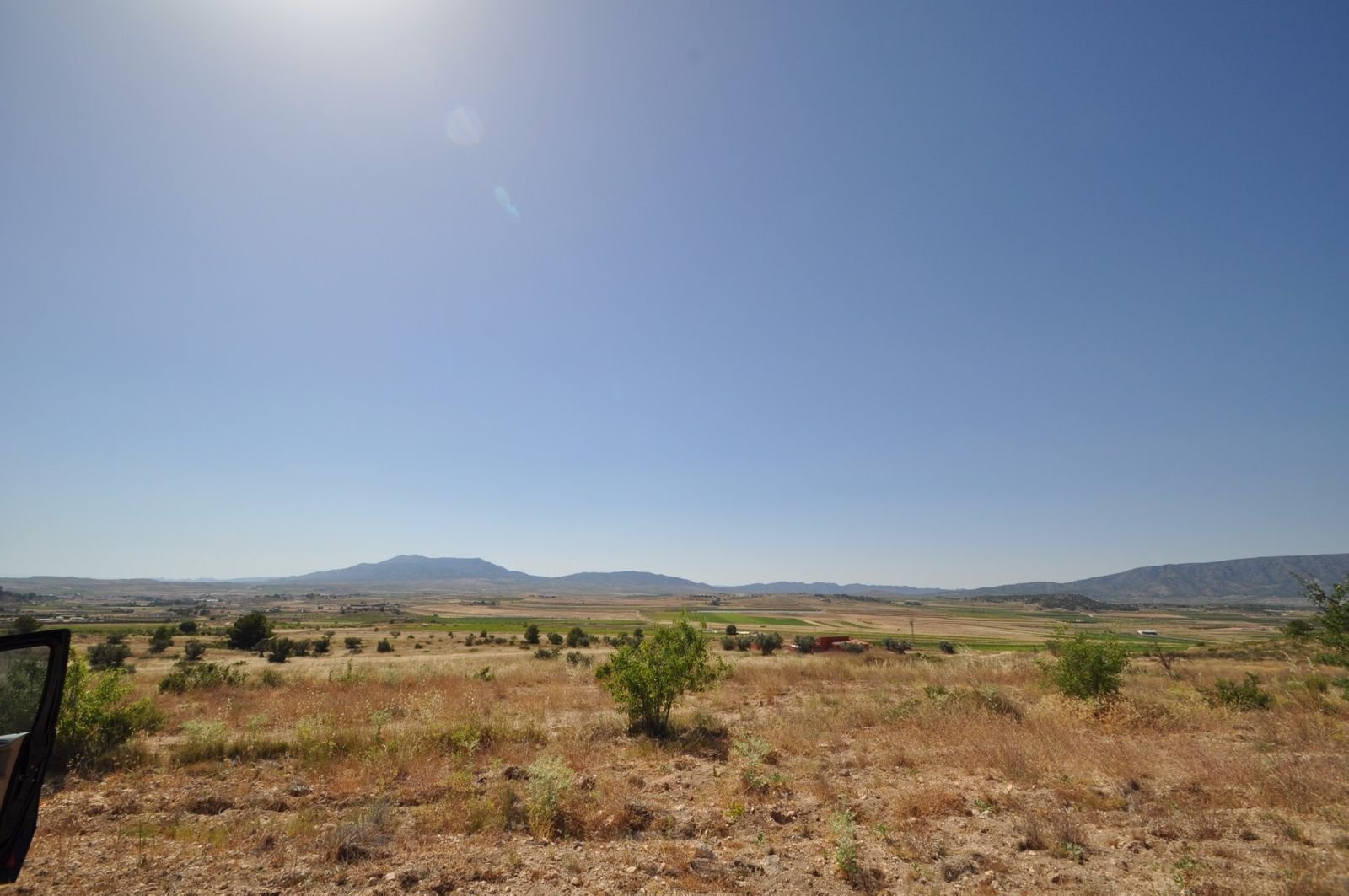 06 dry grass field view