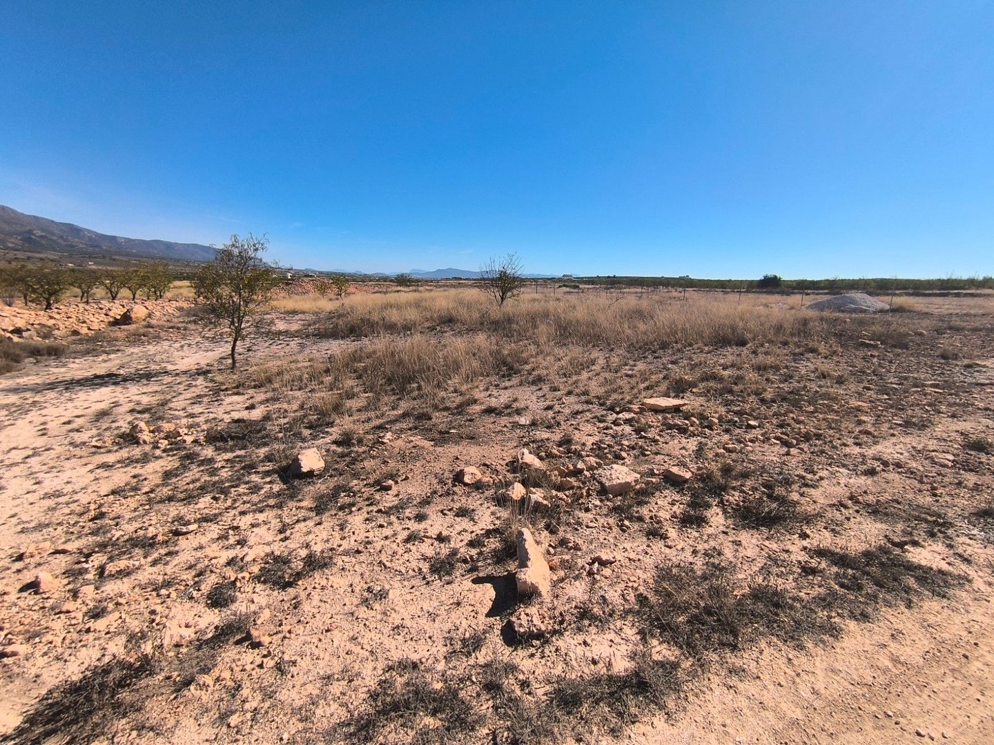 Land in Pinoso -de Pinoso — Arsa