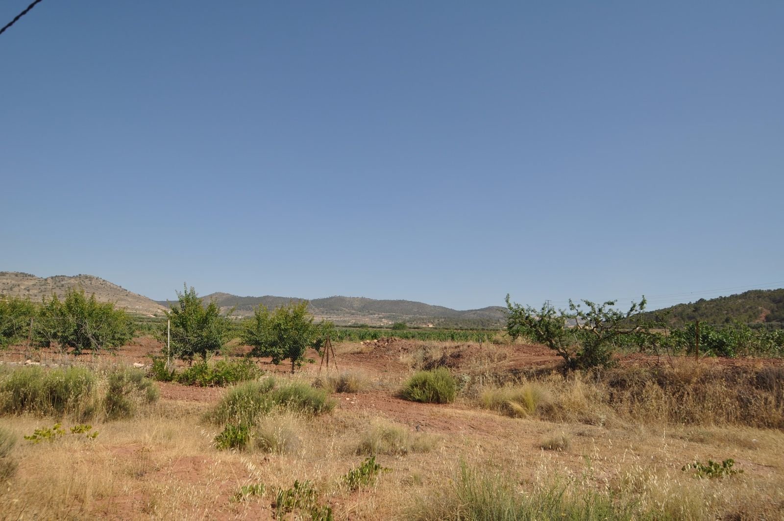 04 dry land ranch land