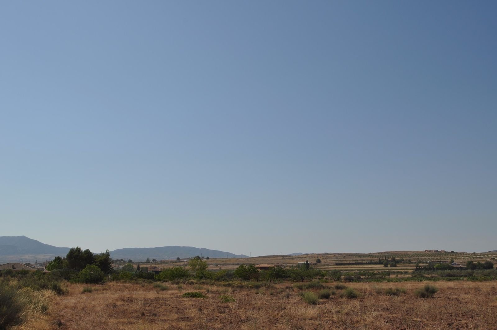 05 dry grass field view