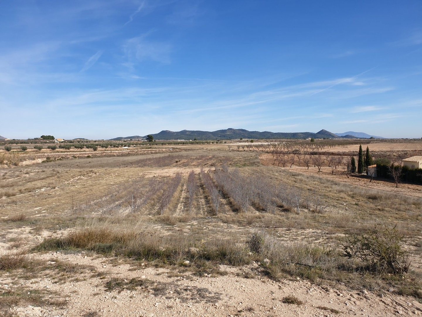 04 dry farm landscape