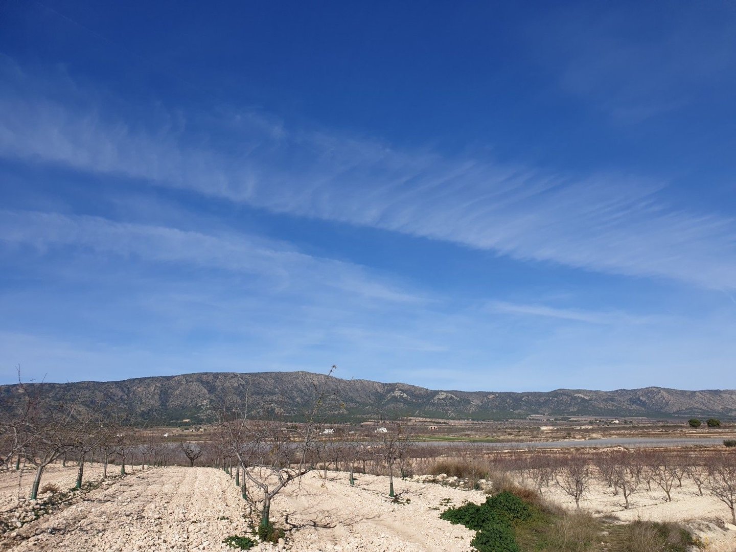 06 dry land farm landscape
