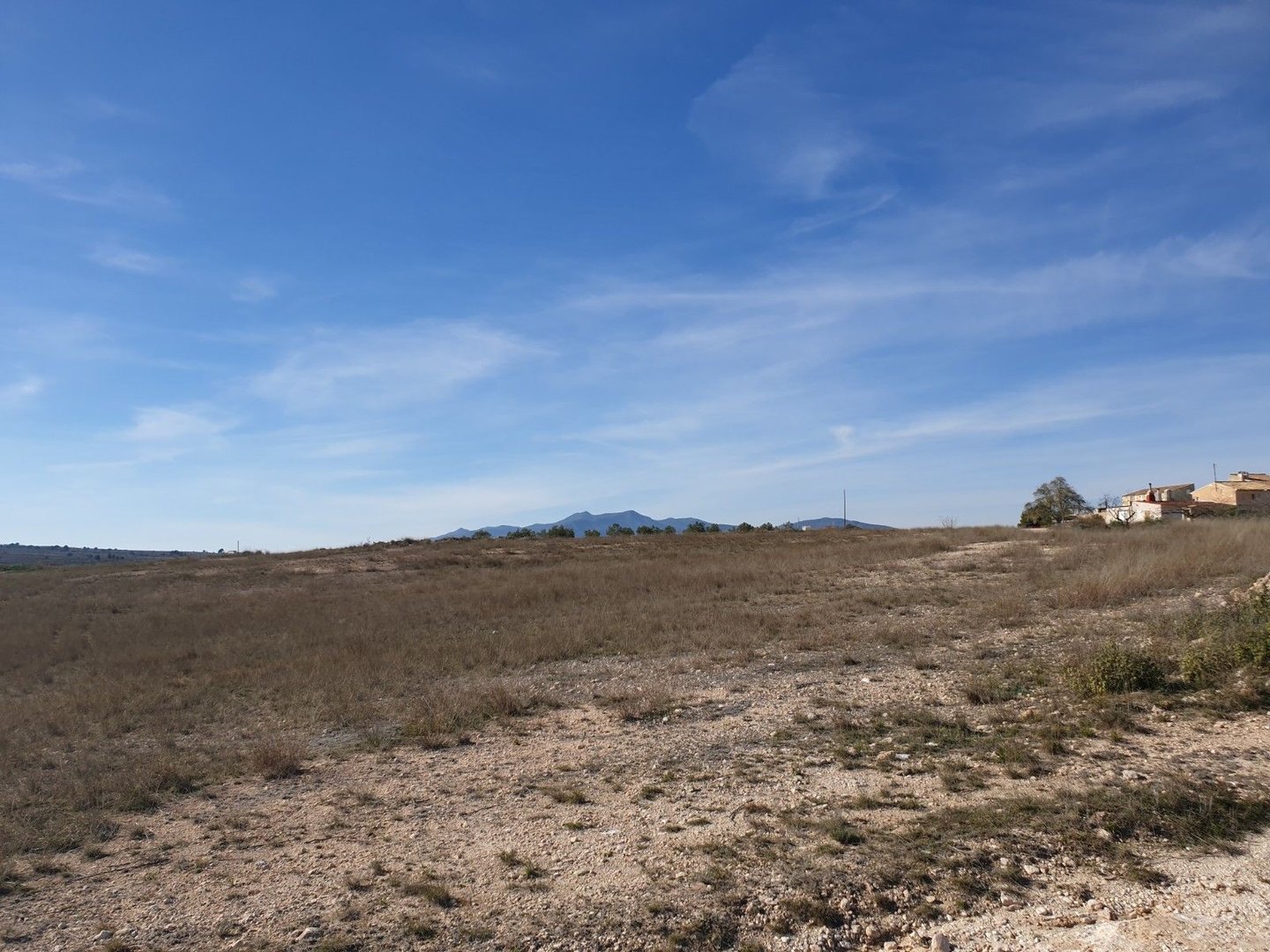 07 dry grass field view