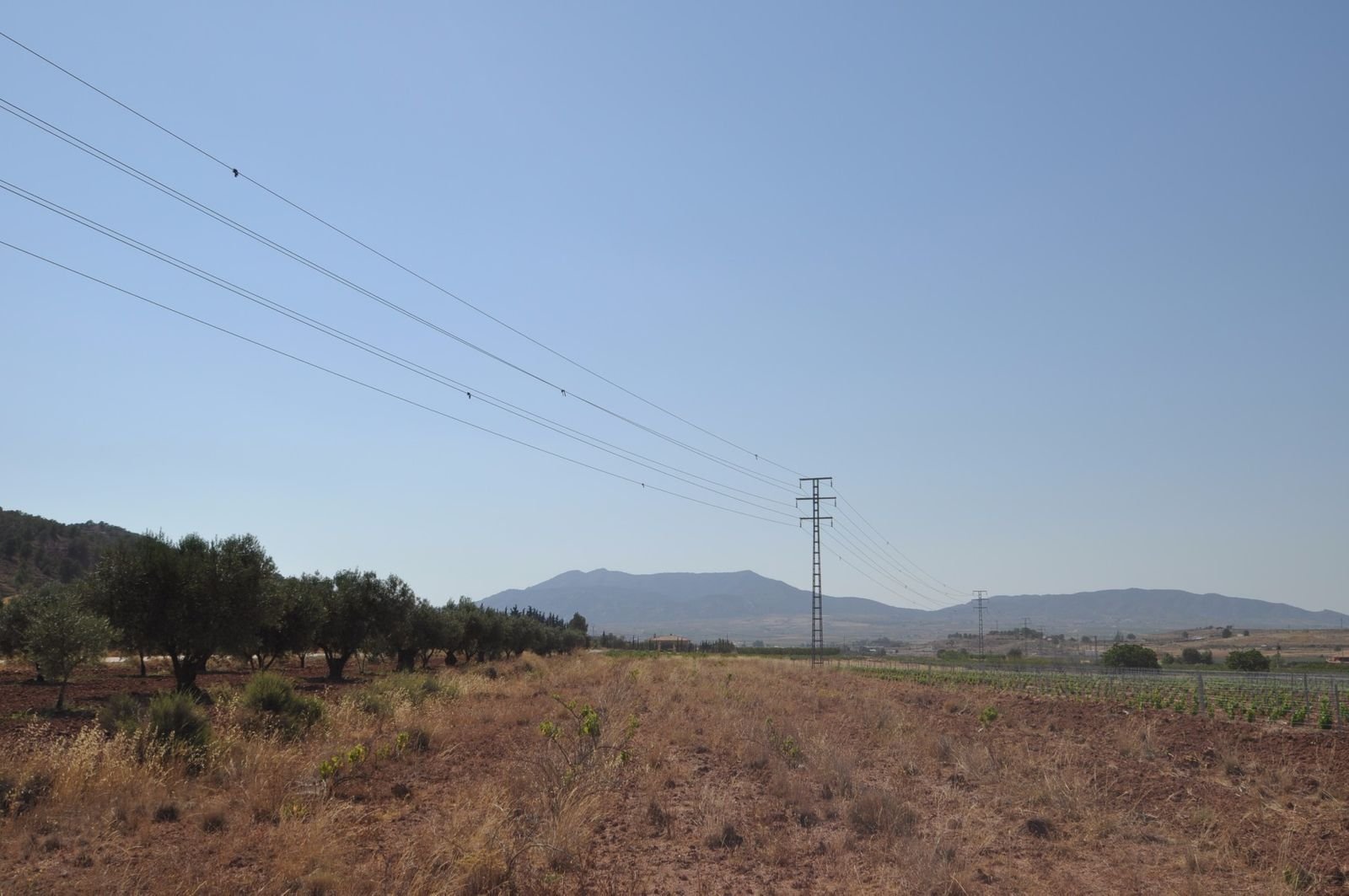 03 rural landscape power lines