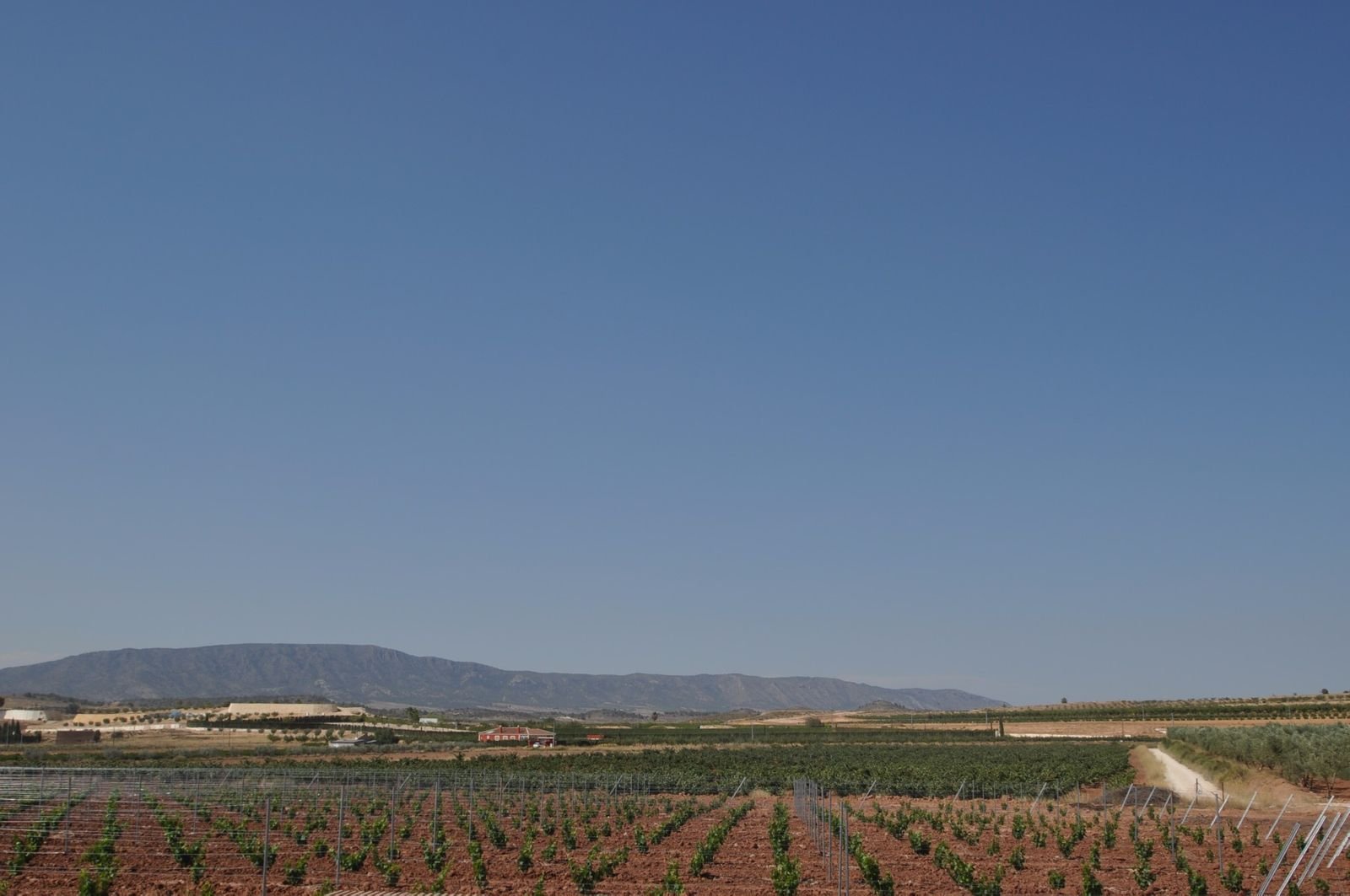 06 farmhouse orchard view