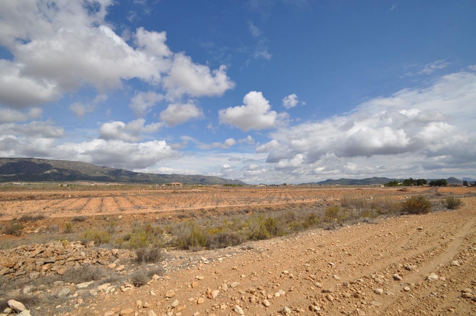 Land in Pinoso em Pinoso — Terreno