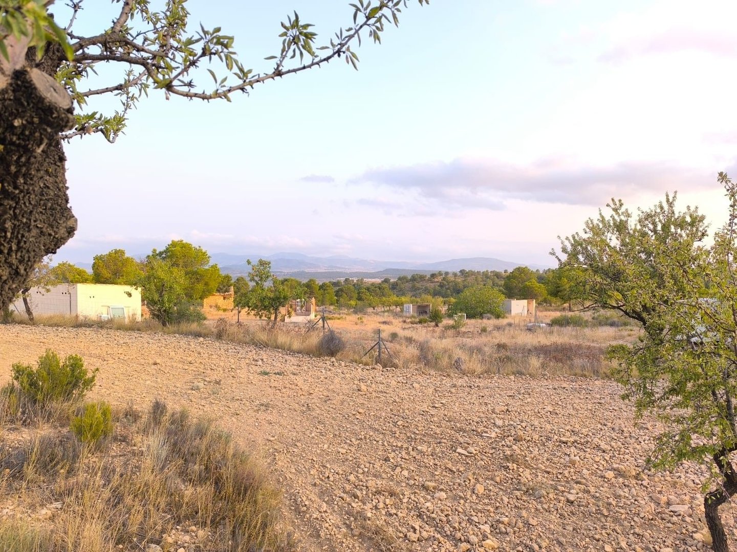 02 desert landscapes ranch