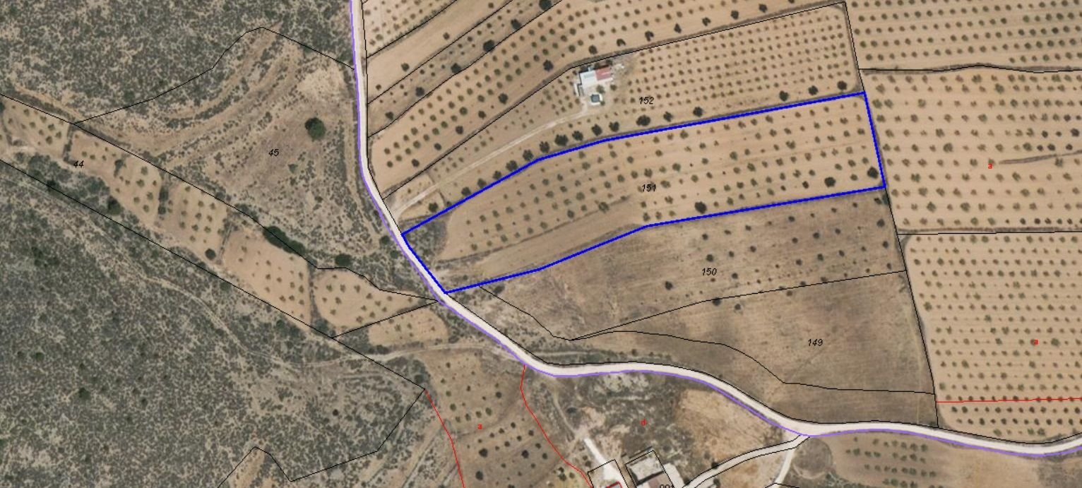 06 aerial view orchard landscape