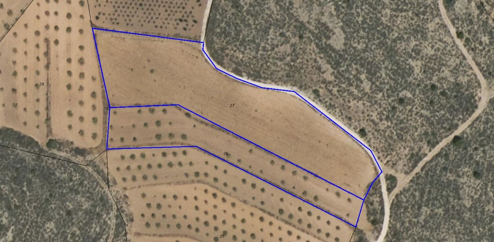 Land in Pinoso in Pinoso — Land