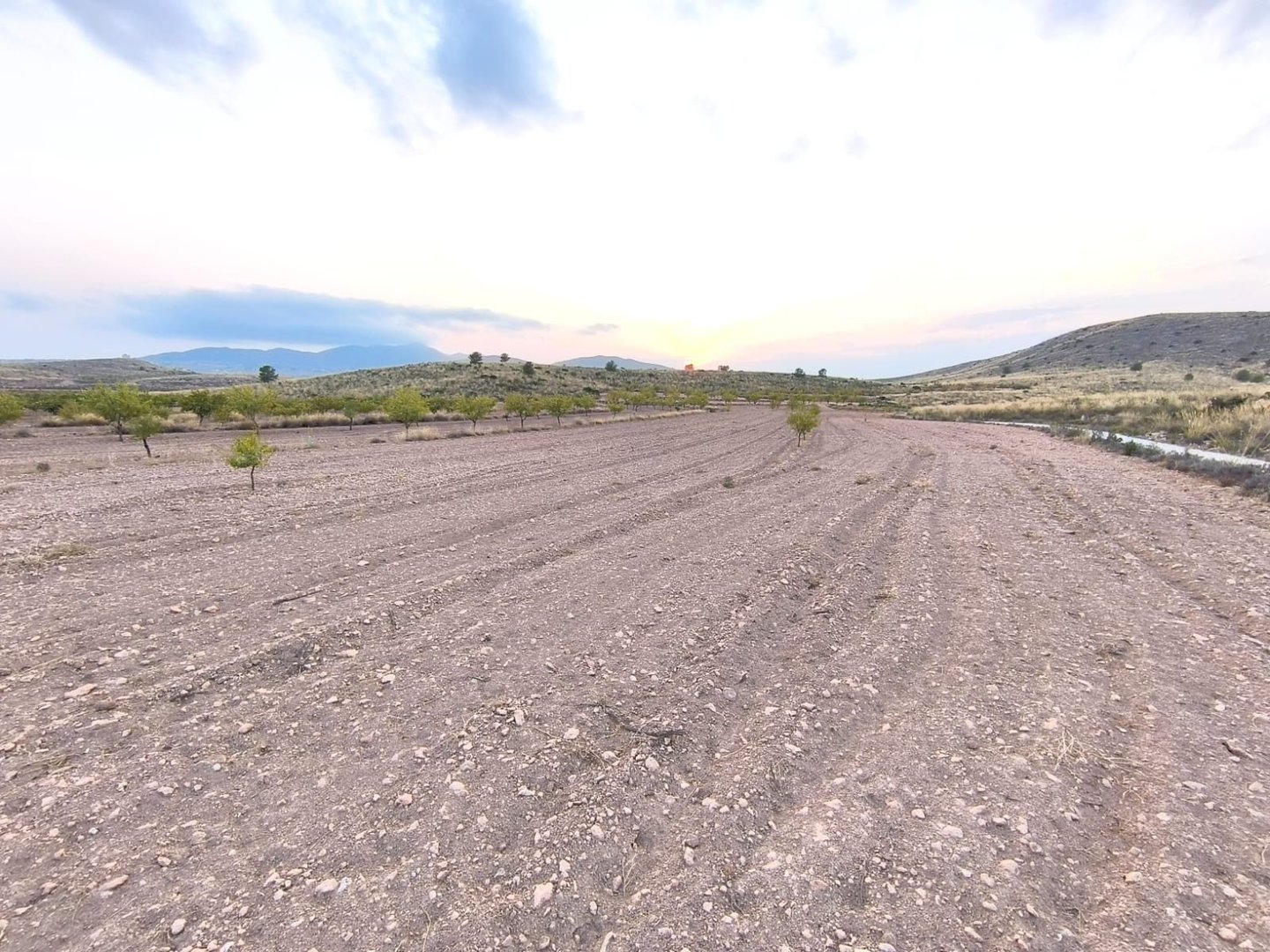 05 dry land desert landscape