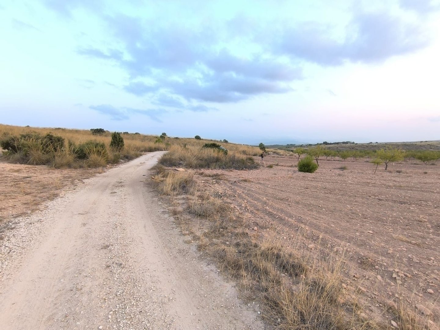 06 dirt road desert landscape