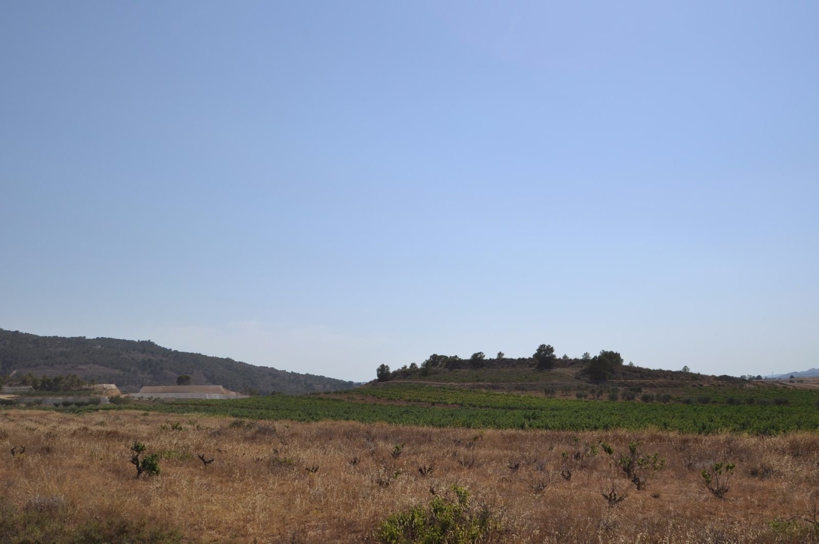 06 dry farm landscape