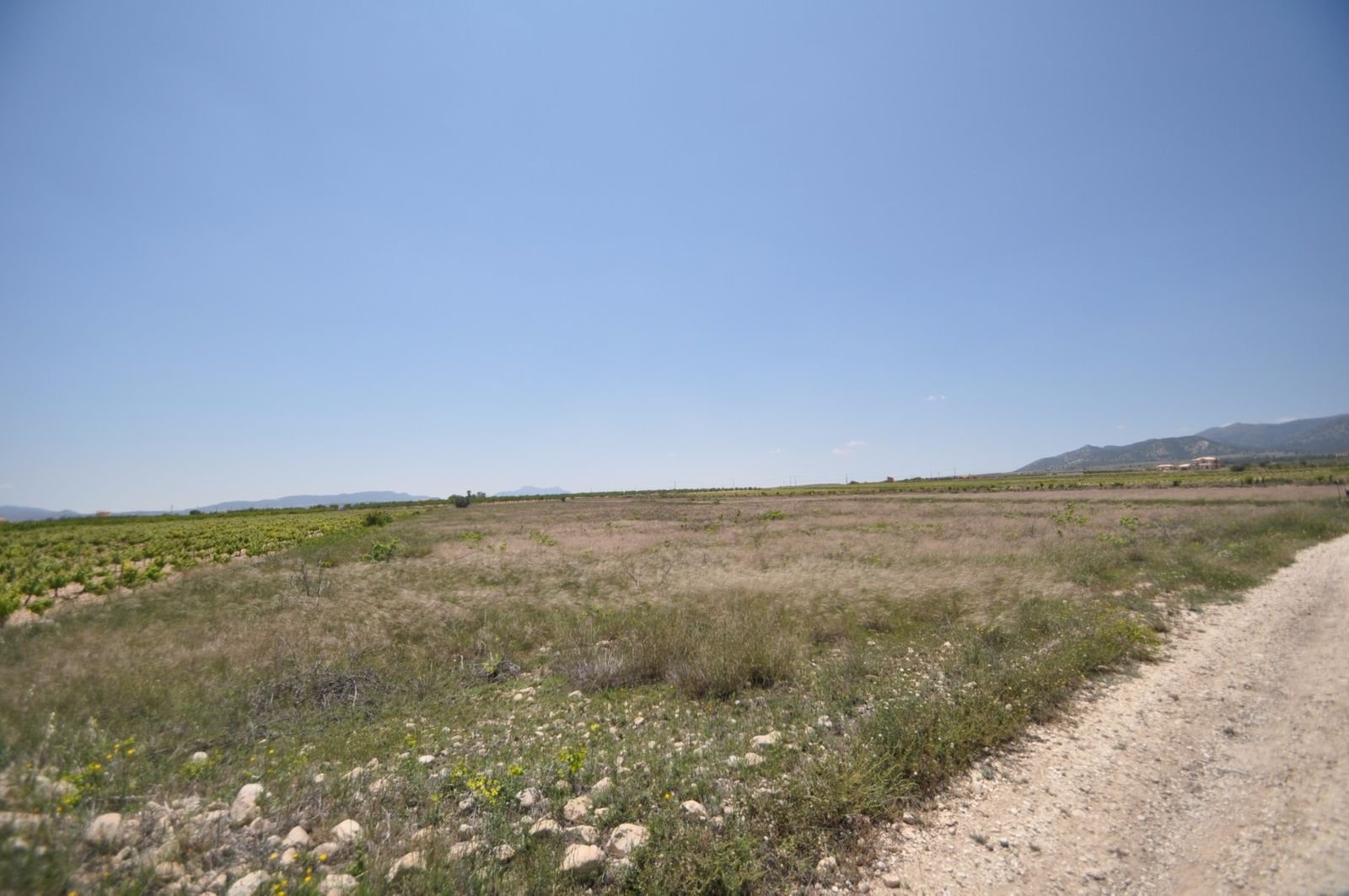 02 rural landscape view