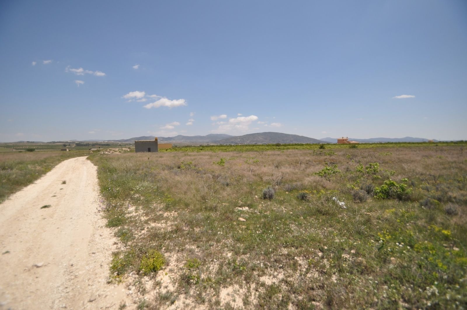 03 rural road landscape