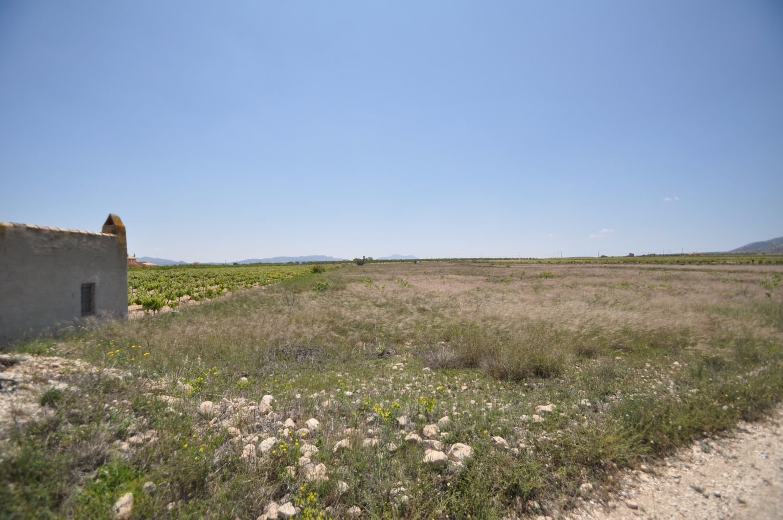 04 rural field view panoramic