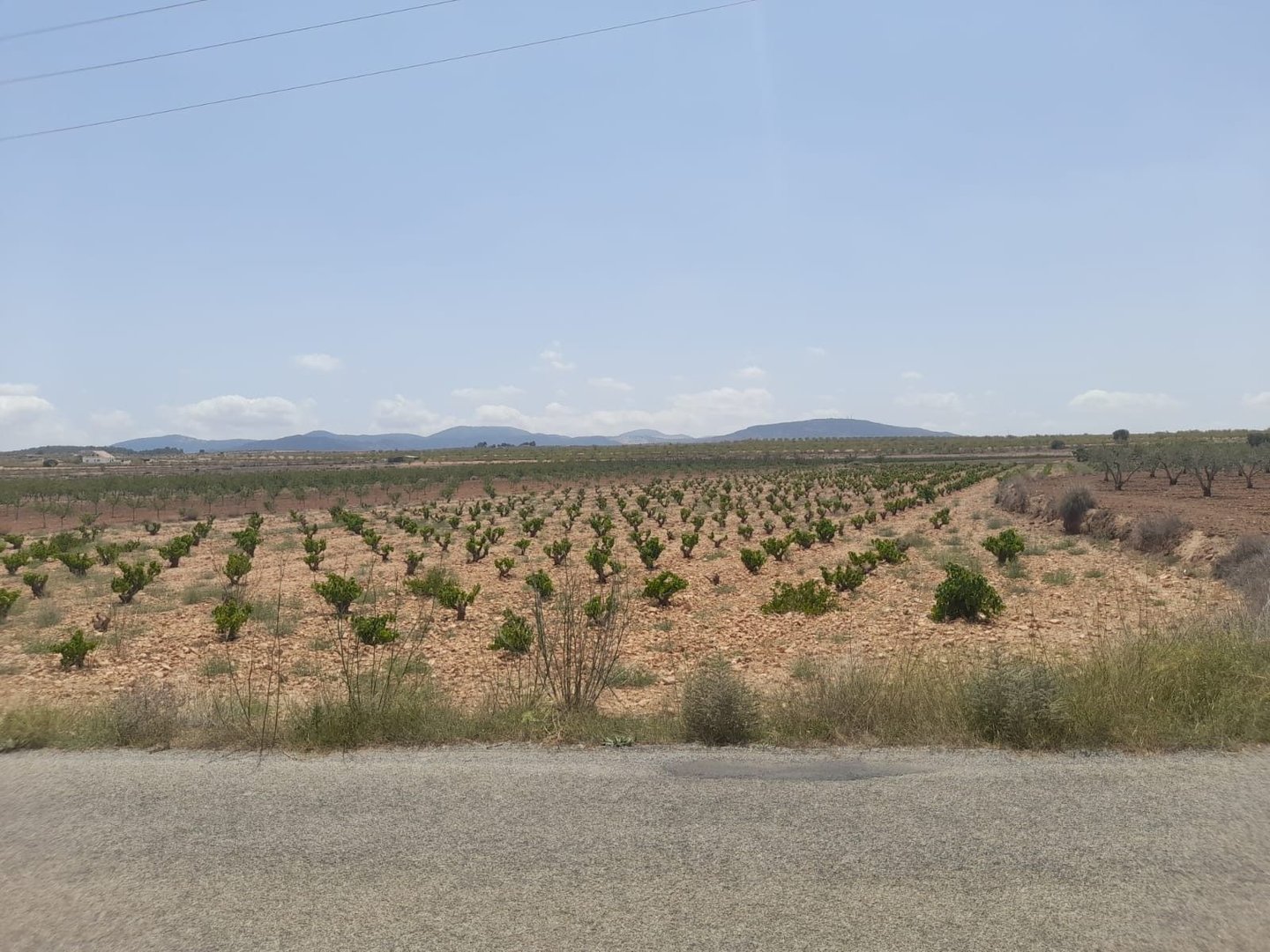 02 desert landscape view