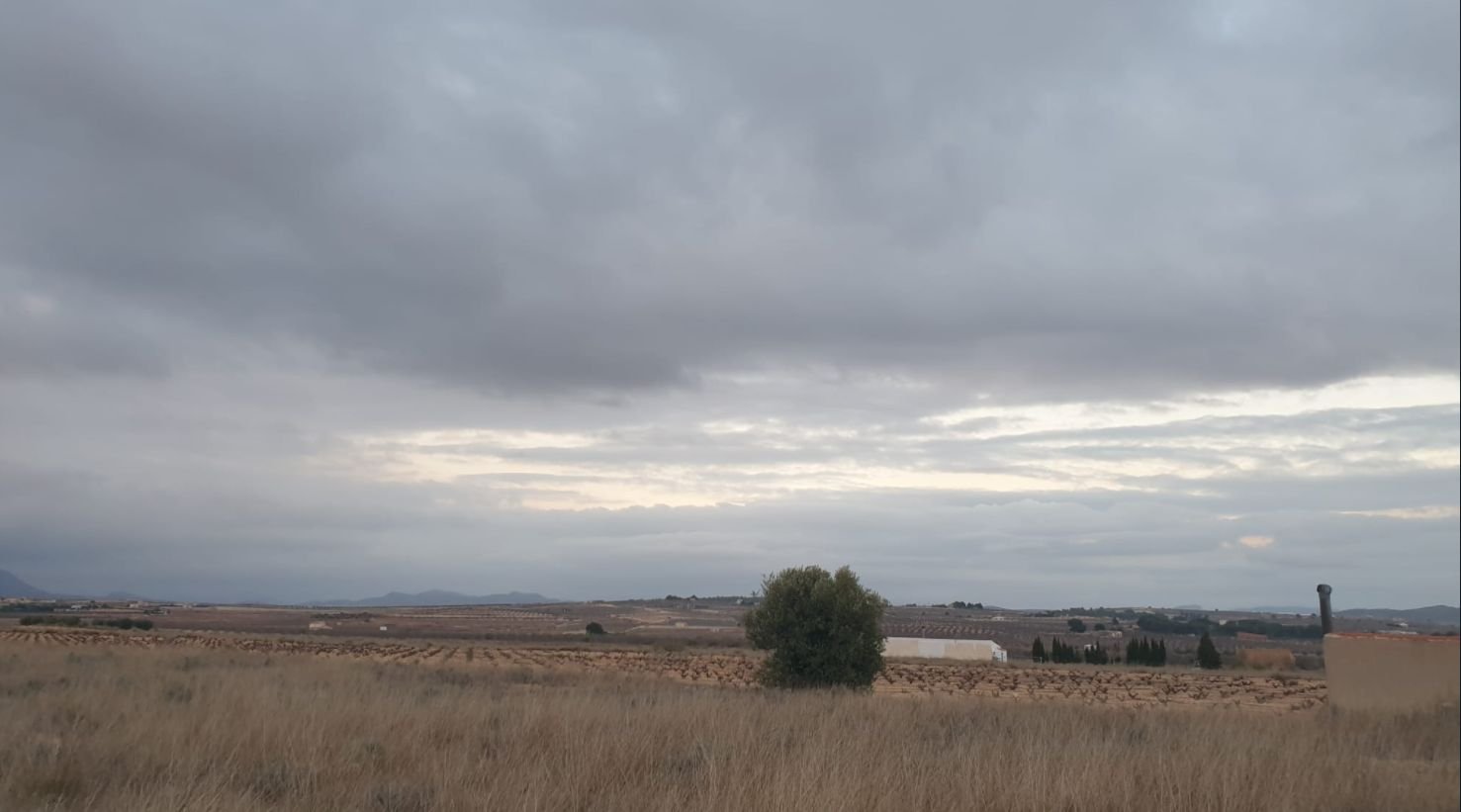 Land in Pinoso em Pinoso — Terreno