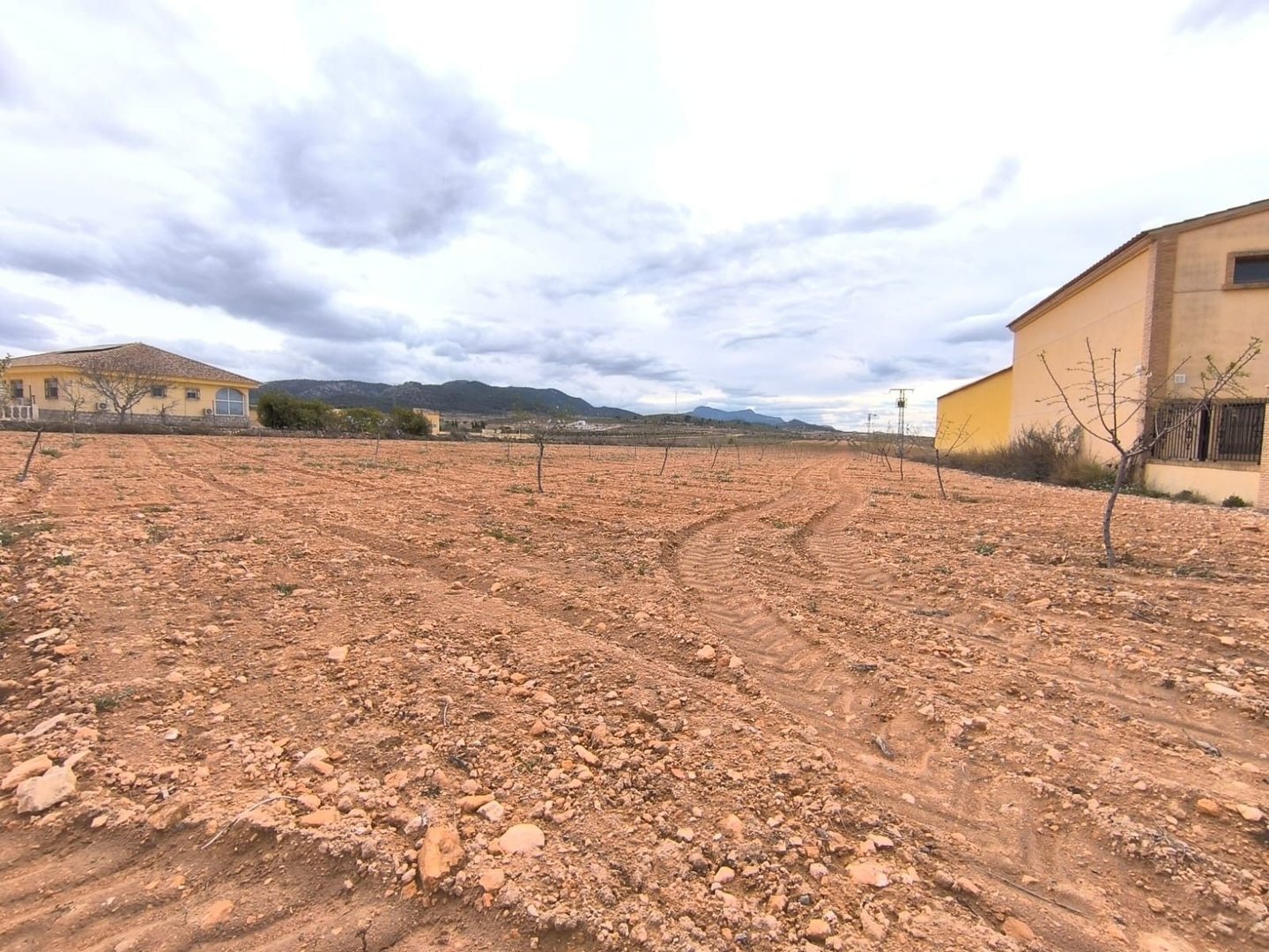 Land in Pinoso v Pinoso — Pozemok