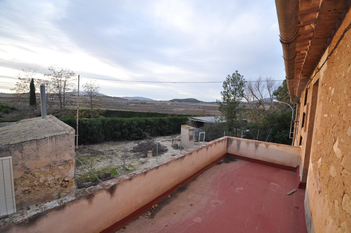 02 photo