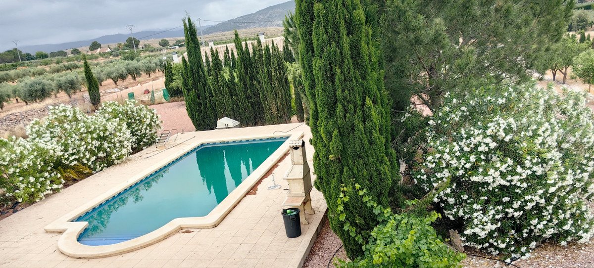 05 photo