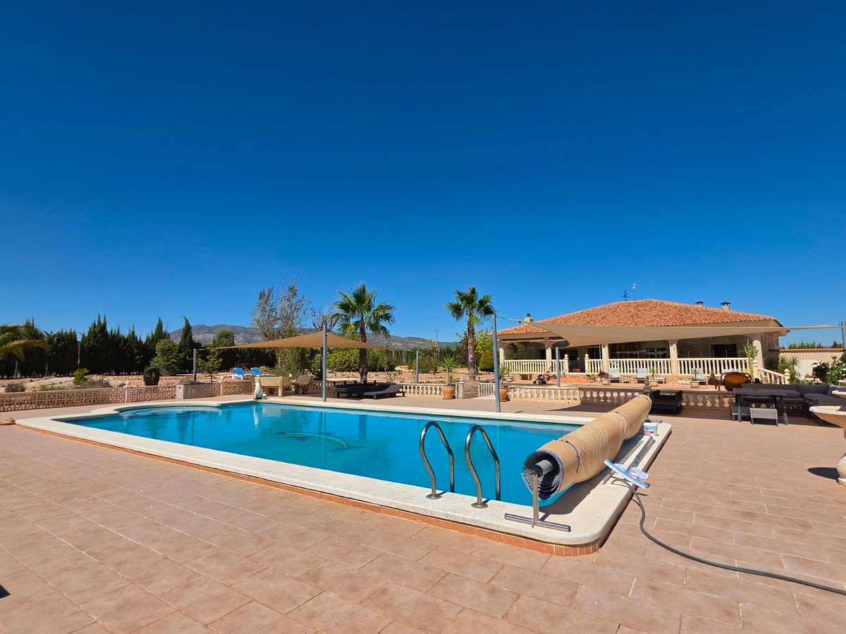 Large swimming pool in front of a villa with palm trees, sun loungers, and covered patio, under a clear blue sky.