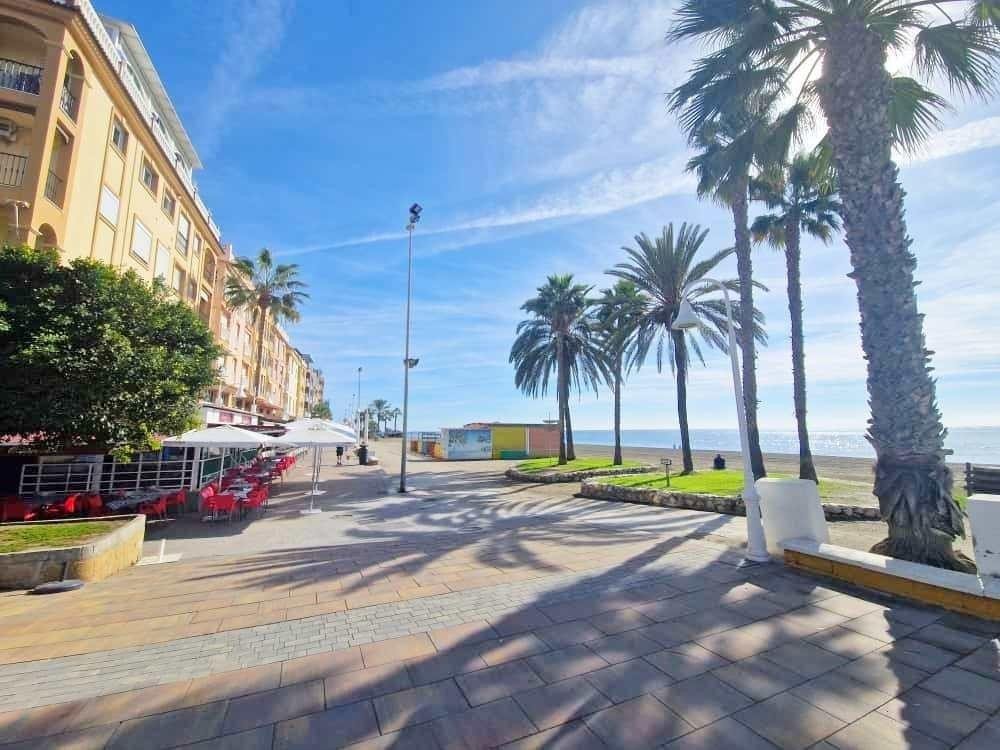 Seafront apartment with balcony, palm trees, and ocean view on a sunny day.
