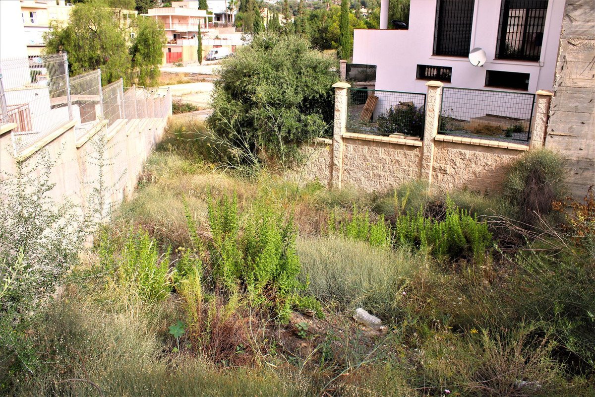 09 photo