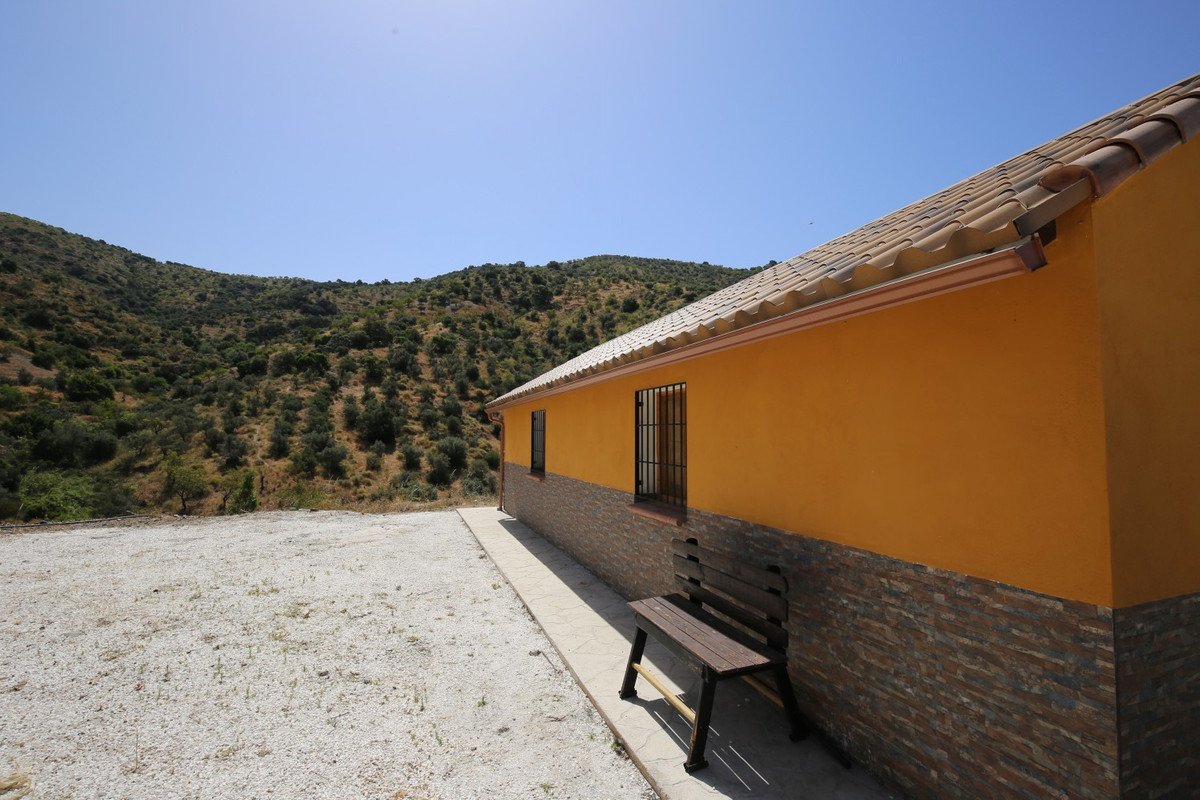 05 photo