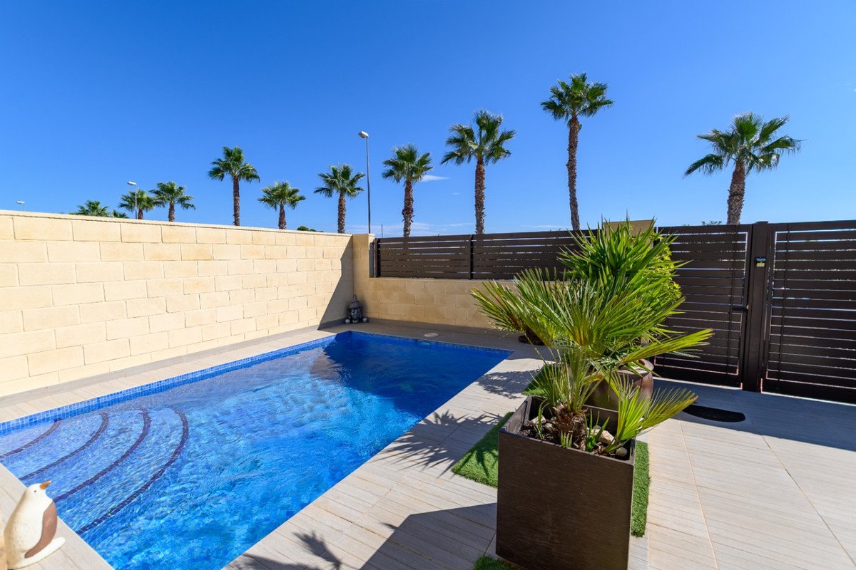 Private pool patio with palm trees and clear blue sky