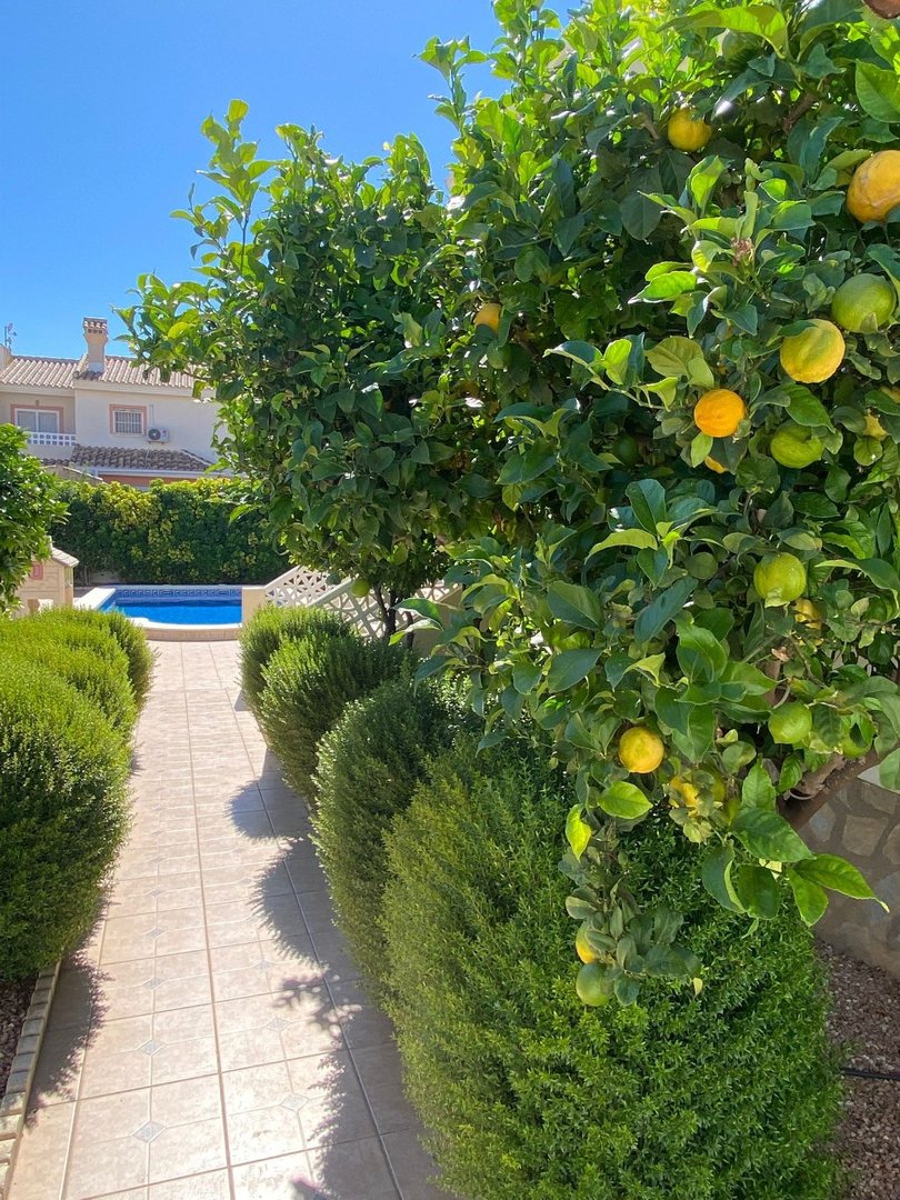 A tiled path leads through a garden with lush green bushes and lemon trees towards a swimming pool on a sunny day.