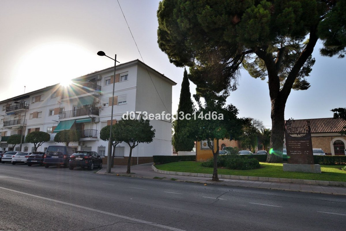 03 photo