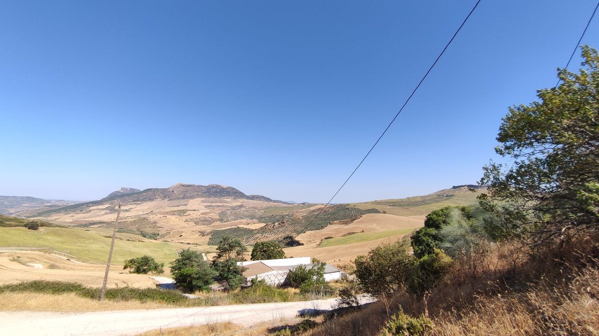 05 photo