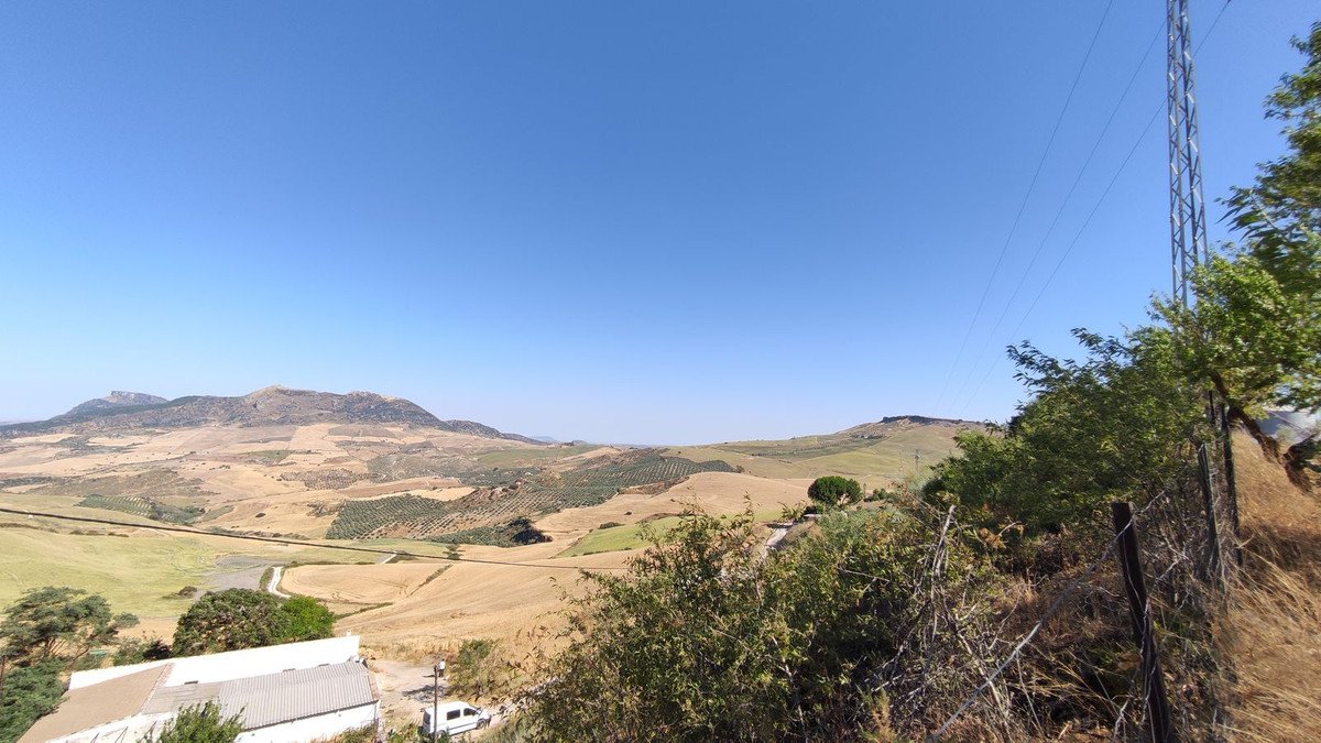06 photo