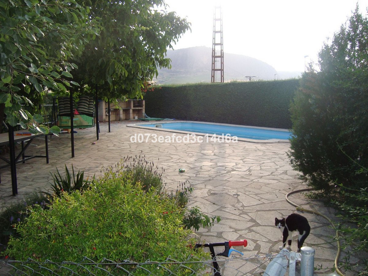 03 photo