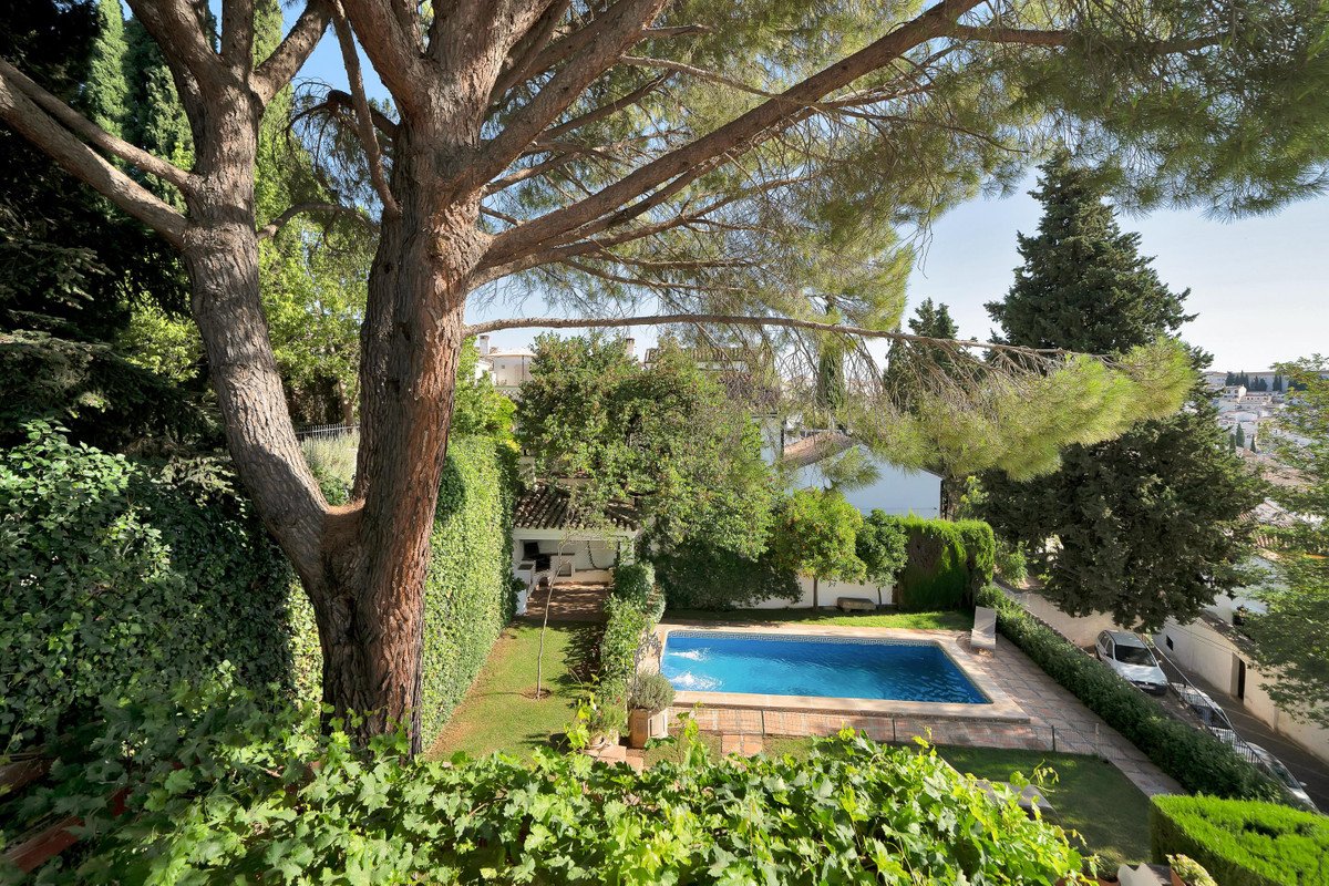 Lush garden with swimming pool and large trees providing shade